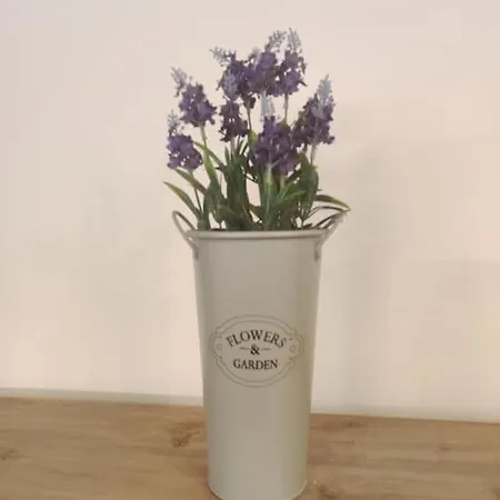 Lägenhet La Casina Delle 6m Florens
